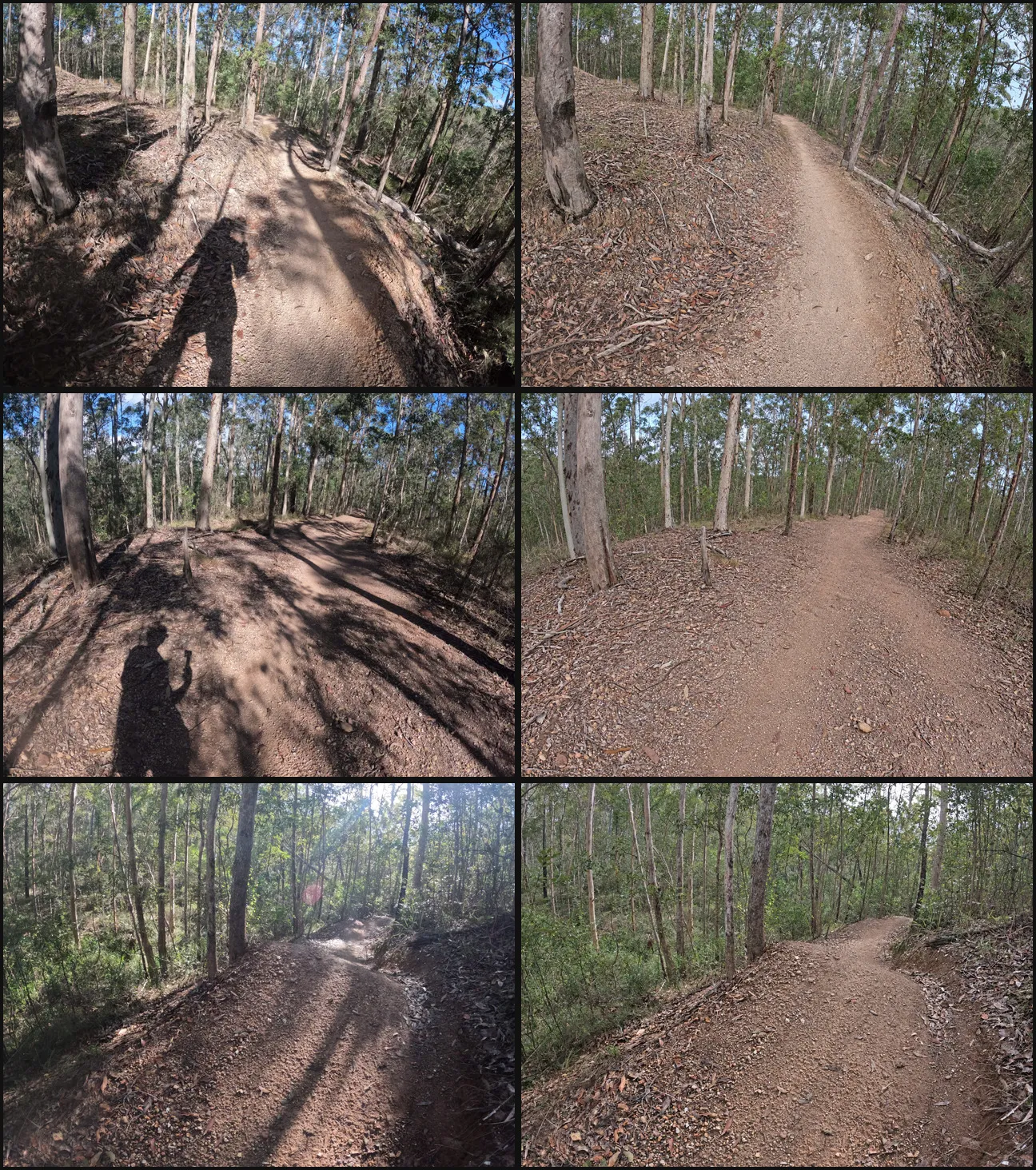 Contact sheet of images before vs after removing shadows with ChatGPT