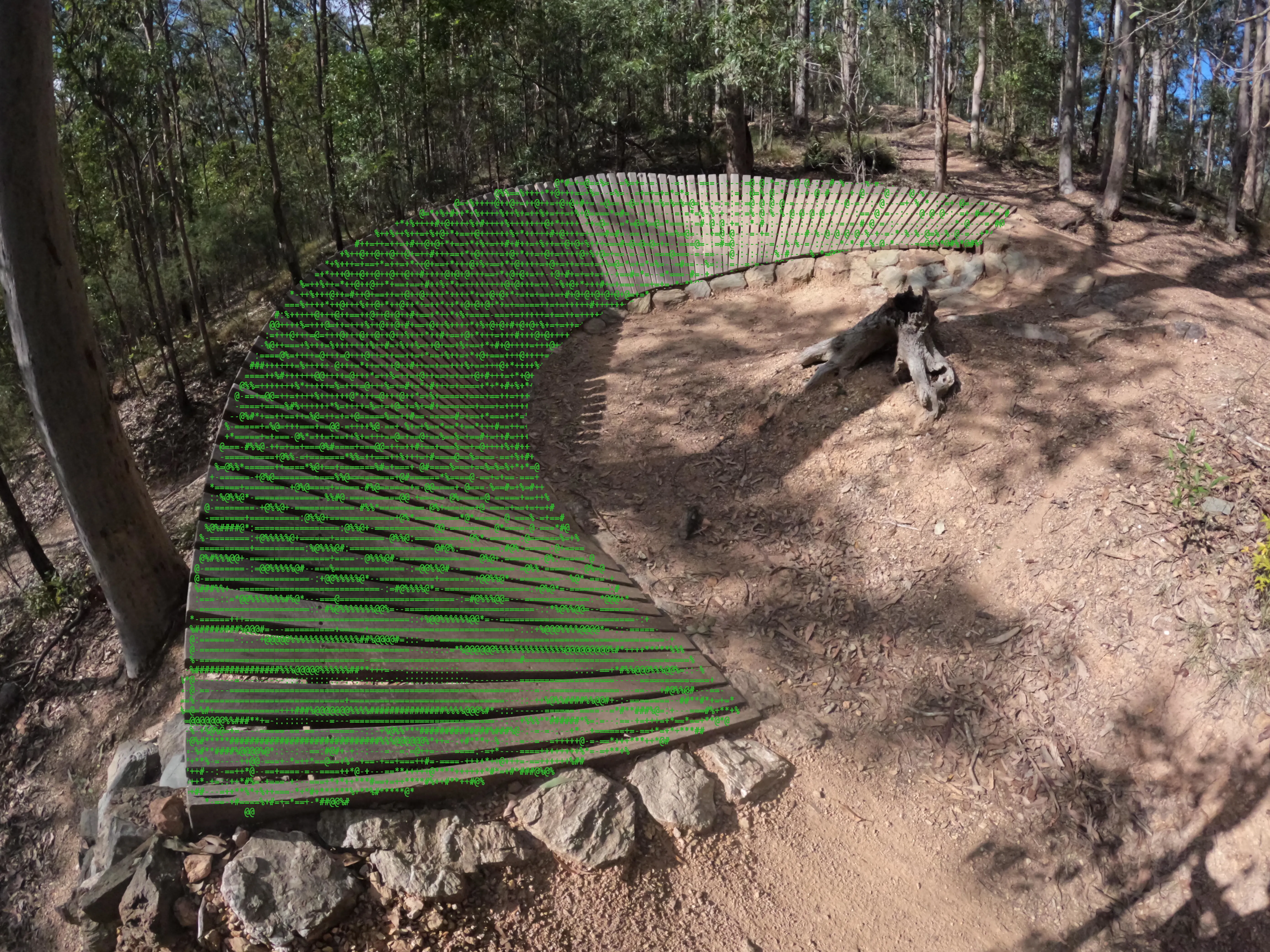 Mountain bike trail with ascii art overlay