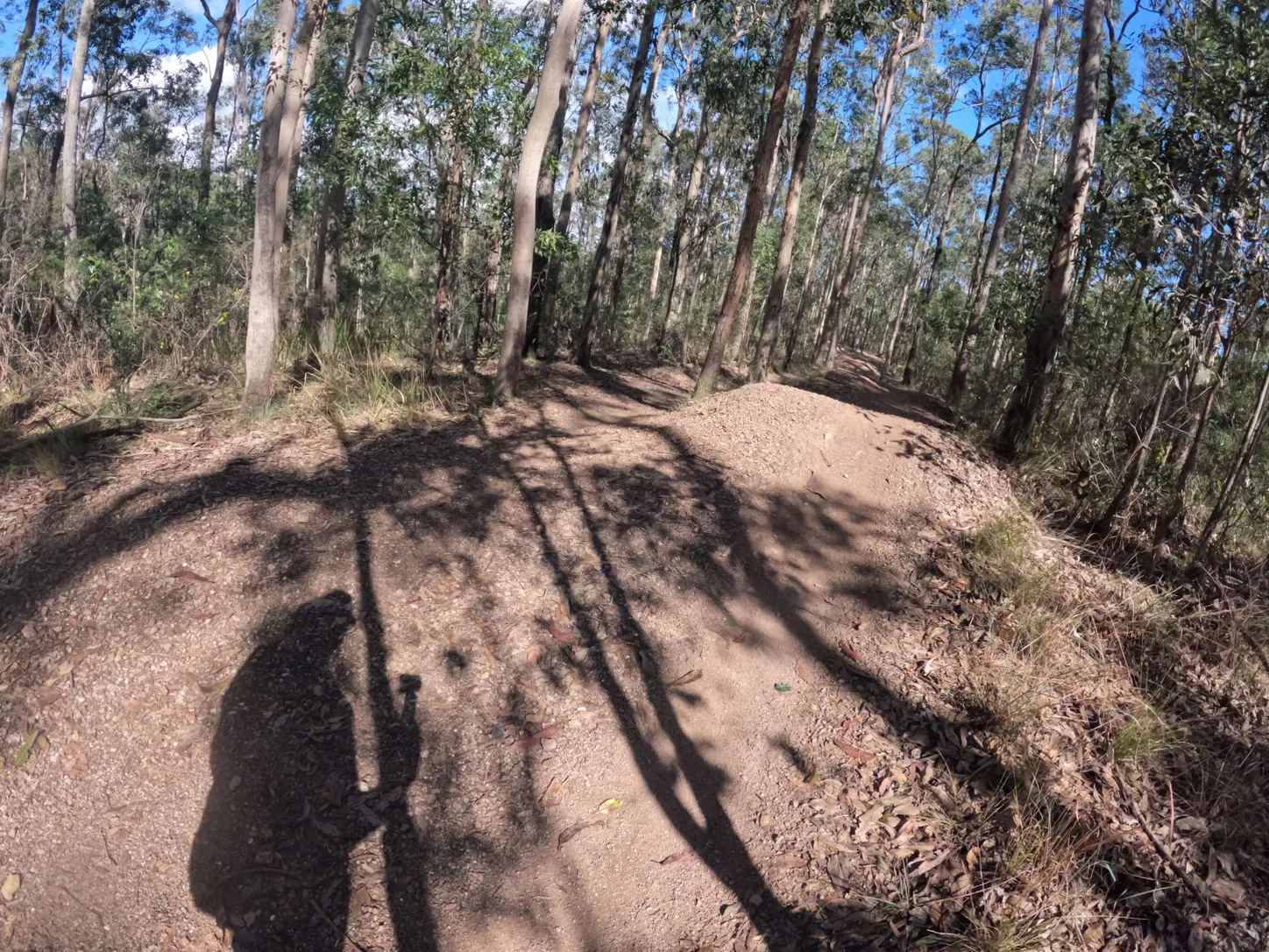 Photo of mountain bike trail with shadows