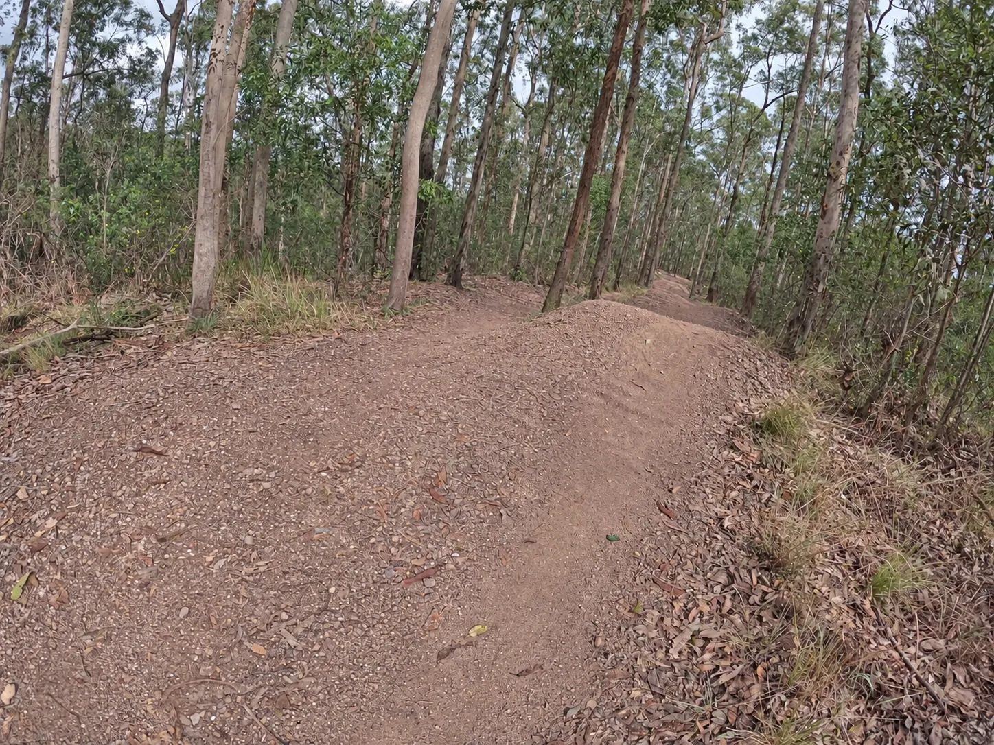 Photo of mountain bike trail with shadows removed