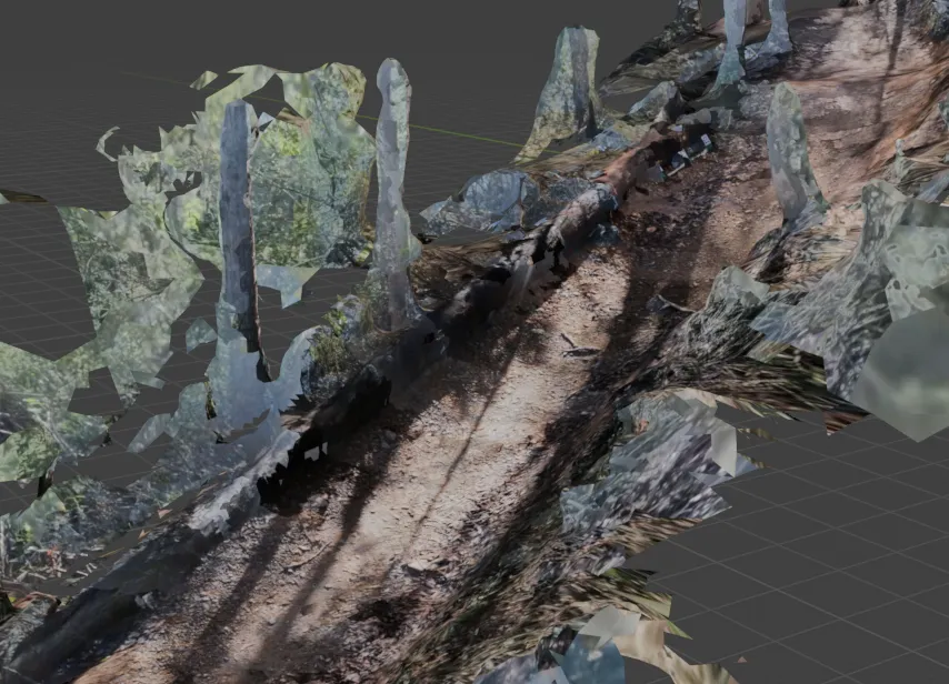 Example of sunlight glare in texture